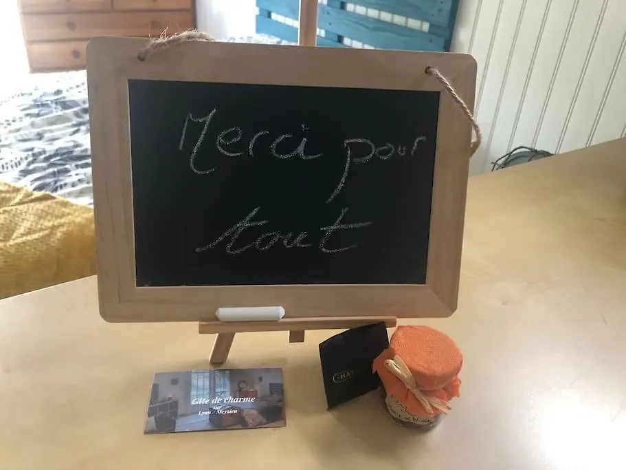 Studio De Charme Pour Sejour Tranquille A Deux Meyzieu Daire