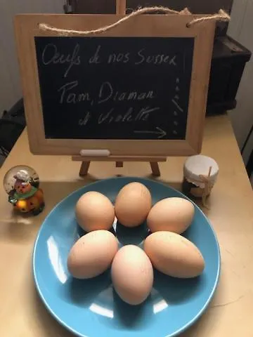 Studio De Charme Pour Sejour Tranquille A Deux Meyzieu 0*,  Fransa